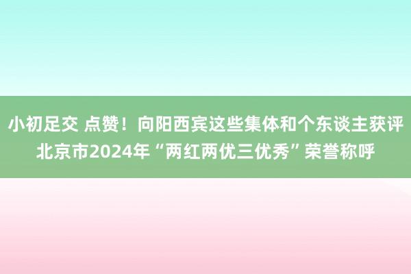 小初足交 点赞！向阳西宾这些集体和个东谈主获评北京市2024年“两红两优三优秀”荣誉称呼