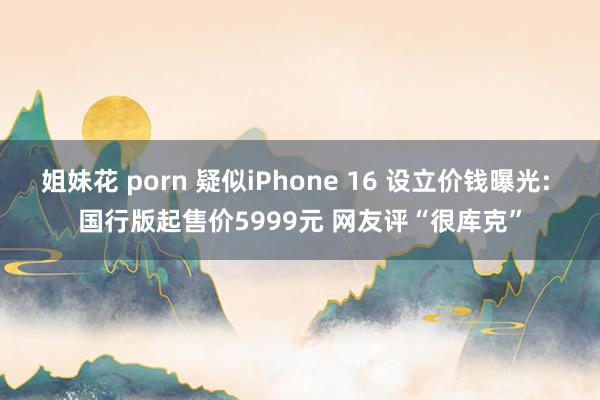 姐妹花 porn 疑似iPhone 16 设立价钱曝光: 国行版起售价5999元 网友评“很库克”