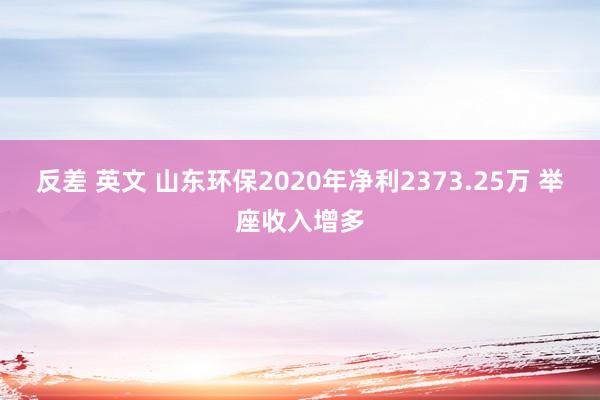 反差 英文 山东环保2020年净利2373.25万 举座收入增多