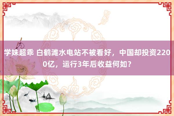 学妹超乖 白鹤滩水电站不被看好，中国却投资2200亿，运行3年后收益何如？