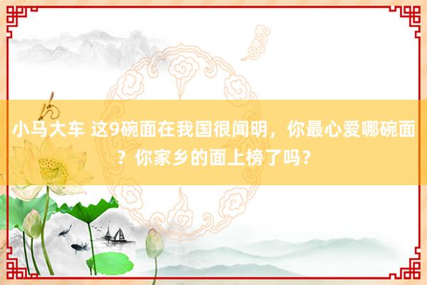 小马大车 这9碗面在我国很闻明，你最心爱哪碗面？你家乡的面上榜了吗？