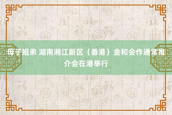 母子姐弟 湖南湘江新区（香港）金和会作通常推介会在港举行