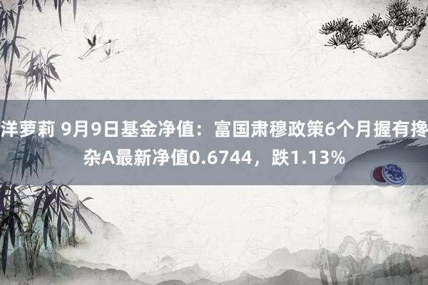 洋萝莉 9月9日基金净值：富国肃穆政策6个月握有搀杂A最新净值0.6744，跌1.13%