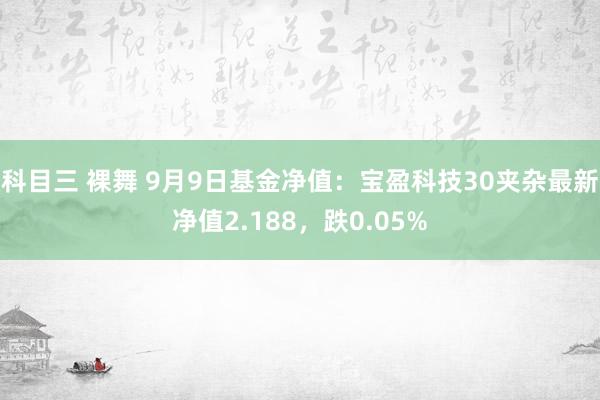 科目三 裸舞 9月9日基金净值：宝盈科技30夹杂最新净值2.188，跌0.05%