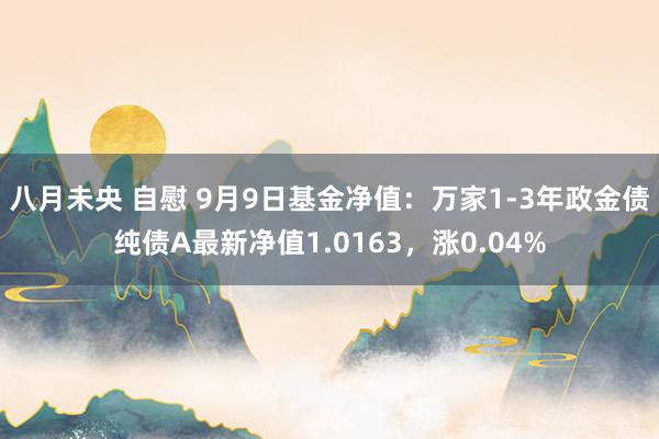 八月未央 自慰 9月9日基金净值：万家1-3年政金债纯债A最新净值1.0163，涨0.04%