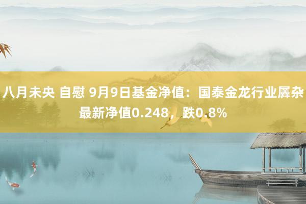 八月未央 自慰 9月9日基金净值：国泰金龙行业羼杂最新净值0.248，跌0.8%