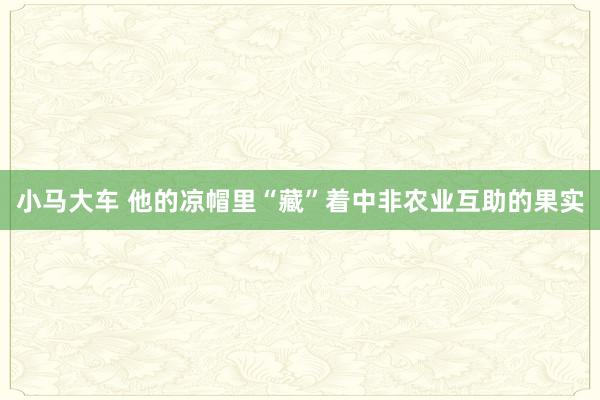 小马大车 他的凉帽里“藏”着中非农业互助的果实