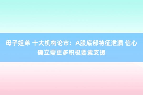 母子姐弟 十大机构论市：A股底部特征泄漏 信心确立需更多积极要素支援