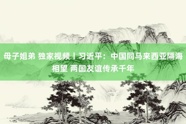 母子姐弟 独家视频丨习近平：中国同马来西亚隔海相望 两国友谊传承千年