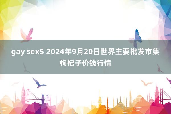 gay sex5 2024年9月20日世界主要批发市集枸杞子价钱行情