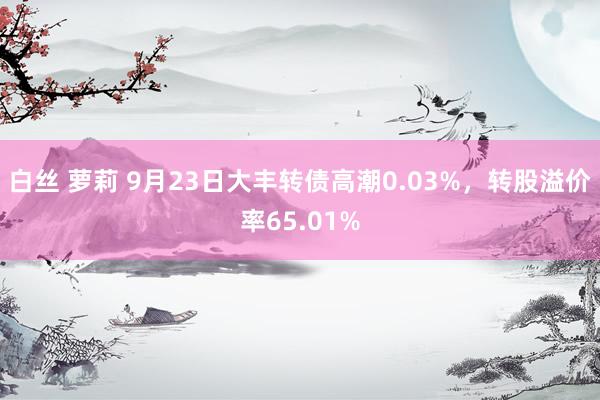 白丝 萝莉 9月23日大丰转债高潮0.03%，转股溢价率65.01%