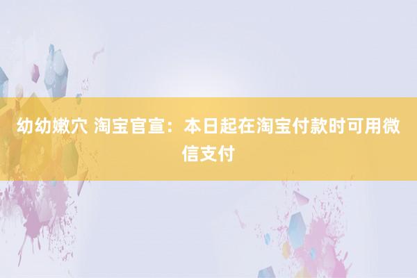 幼幼嫩穴 淘宝官宣：本日起在淘宝付款时可用微信支付