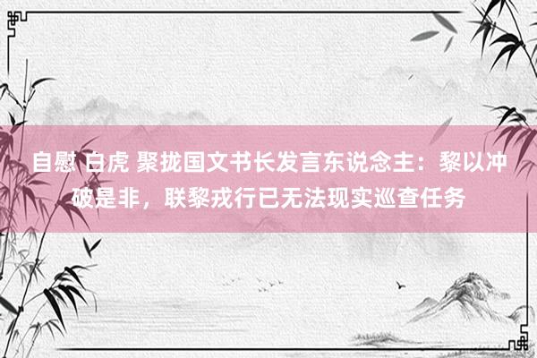 自慰 白虎 聚拢国文书长发言东说念主：黎以冲破是非，联黎戎行已无法现实巡查任务