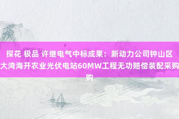 探花 极品 许继电气中标成果：新动力公司钟山区大湾海开农业光伏电站60MW工程无功赔偿装配采购