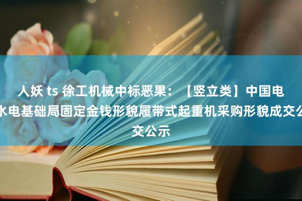 人妖 ts 徐工机械中标恶果：【竖立类】中国电建水电基础局固定金钱形貌履带式起重机采购形貌成交公示