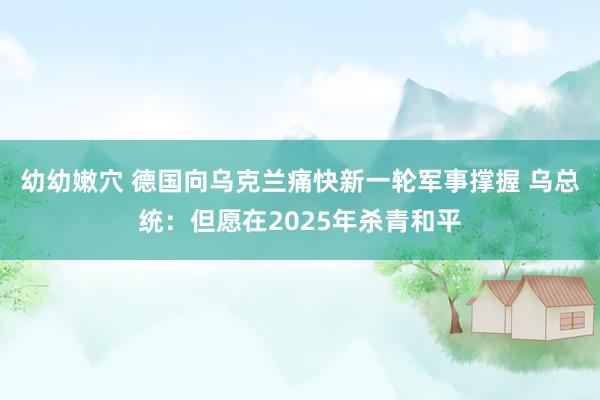 幼幼嫩穴 德国向乌克兰痛快新一轮军事撑握 乌总统：但愿在2025年杀青和平