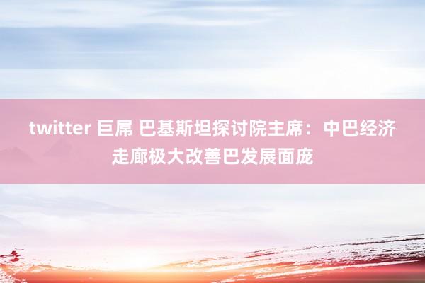 twitter 巨屌 巴基斯坦探讨院主席：中巴经济走廊极大改善巴发展面庞