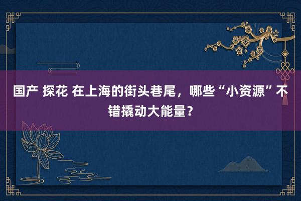 国产 探花 在上海的街头巷尾，哪些“小资源”不错撬动大能量？