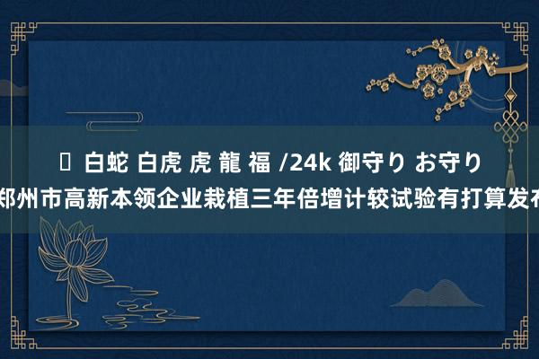 ✨白蛇 白虎 虎 龍 福 /24k 御守り お守り 郑州市高新本领企业栽植三年倍增计较试验有打算发布