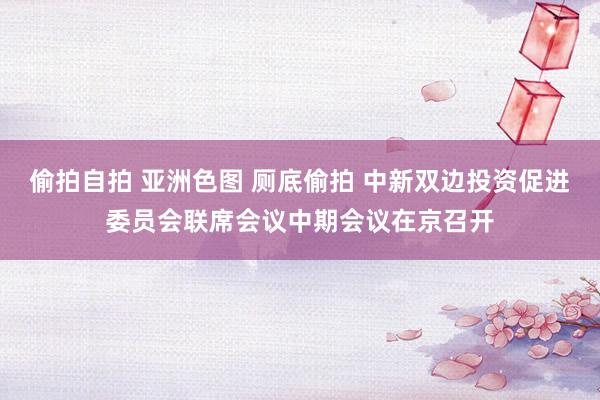 偷拍自拍 亚洲色图 厕底偷拍 中新双边投资促进委员会联席会议中期会议在京召开