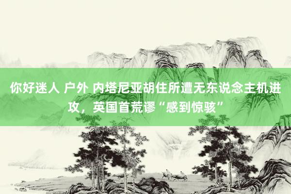 你好迷人 户外 内塔尼亚胡住所遭无东说念主机进攻，英国首荒谬“感到惊骇”