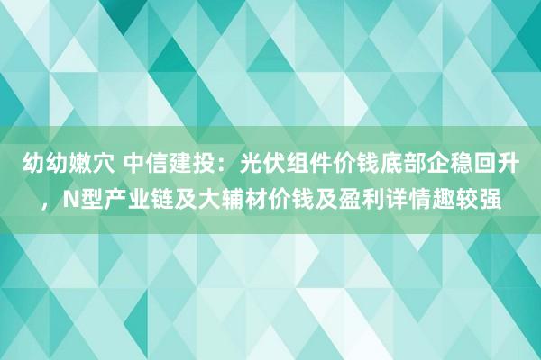 幼幼嫩穴 中信建投：光伏组件价钱底部企稳回升，N型产业链及大辅材价钱及盈利详情趣较强