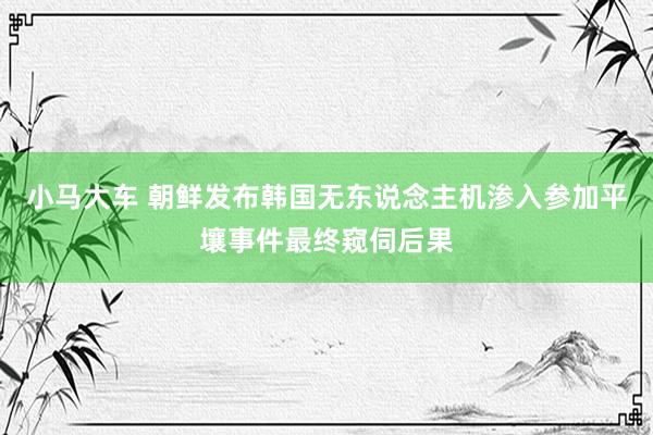 小马大车 朝鲜发布韩国无东说念主机渗入参加平壤事件最终窥伺后果