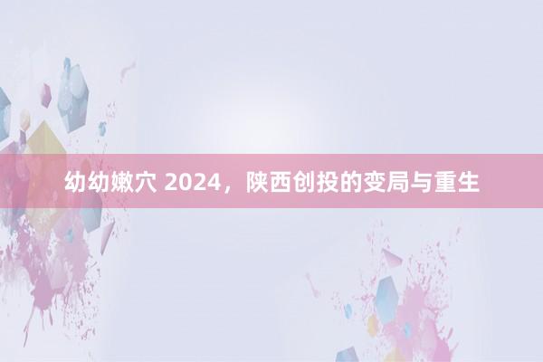 幼幼嫩穴 2024，陕西创投的变局与重生