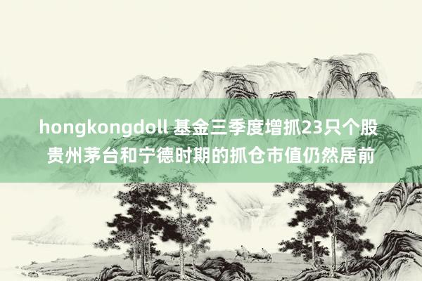 hongkongdoll 基金三季度增抓23只个股 贵州茅台和宁德时期的抓仓市值仍然居前