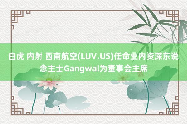 白虎 内射 西南航空(LUV.US)任命业内资深东说念主士Gangwal为董事会主席