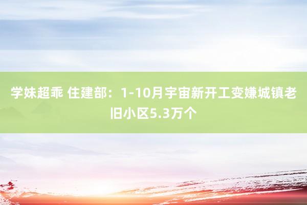 学妹超乖 住建部：1-10月宇宙新开工变嫌城镇老旧小区5.3万个