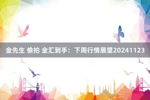 金先生 偷拍 金汇到手：下周行情展望20241123