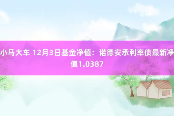 小马大车 12月3日基金净值：诺德安承利率债最新净值1.0387