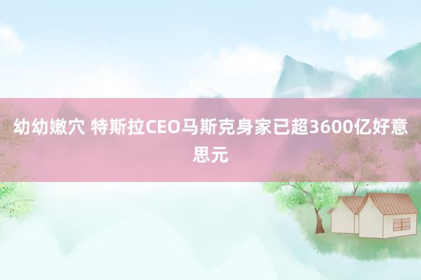 幼幼嫩穴 特斯拉CEO马斯克身家已超3600亿好意思元