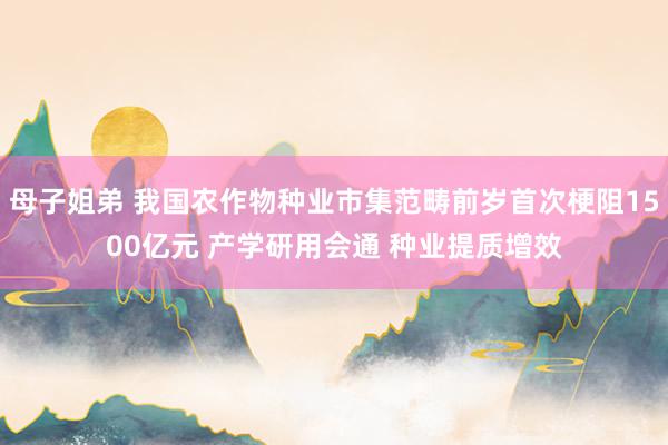 母子姐弟 我国农作物种业市集范畴前岁首次梗阻1500亿元 产学研用会通 种业提质增效