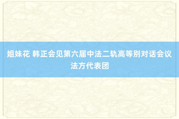 姐妹花 韩正会见第六届中法二轨高等别对话会议法方代表团