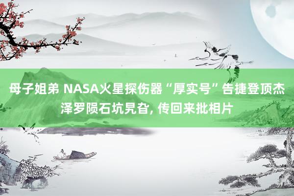 母子姐弟 NASA火星探伤器“厚实号”告捷登顶杰泽罗陨石坑旯旮， 传回来批相片