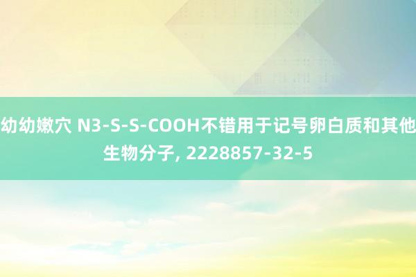 幼幼嫩穴 N3-S-S-COOH不错用于记号卵白质和其他生物分子， 2228857-32-5