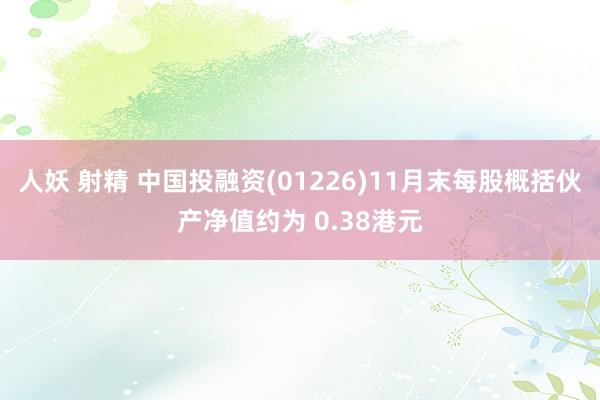 人妖 射精 中国投融资(01226)11月末每股概括伙产净值约为 0.38港元