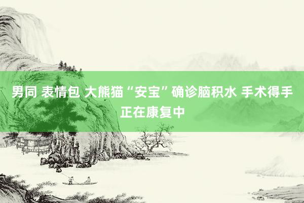 男同 表情包 大熊猫“安宝”确诊脑积水 手术得手正在康复中