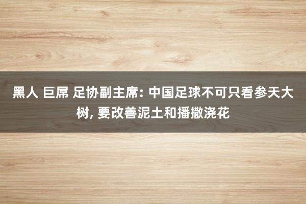 黑人 巨屌 足协副主席: 中国足球不可只看参天大树， 要改善泥土和播撒浇花