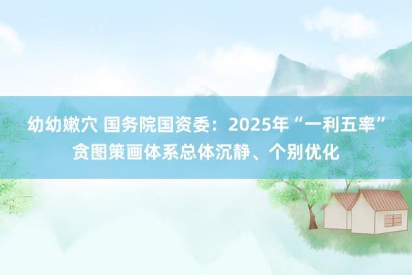 幼幼嫩穴 国务院国资委：2025年“一利五率”贪图策画体系总体沉静、个别优化