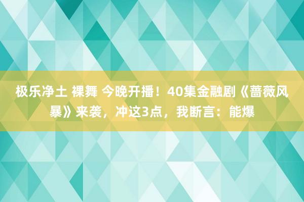 极乐净土 裸舞 今晚开播！40集金融剧《蔷薇风暴》来袭，冲这3点，我断言：能爆