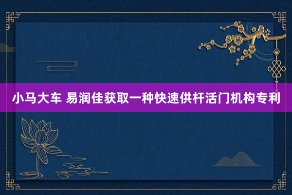 小马大车 易润佳获取一种快速供杆活门机构专利