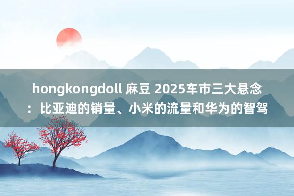 hongkongdoll 麻豆 2025车市三大悬念：比亚迪的销量、小米的流量和华为的智驾