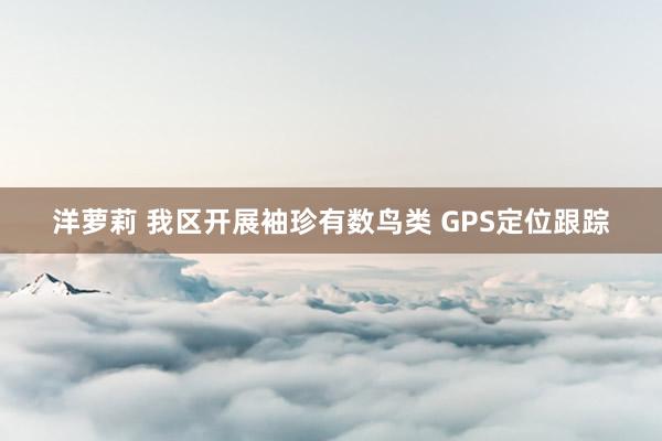 洋萝莉 我区开展袖珍有数鸟类 GPS定位跟踪