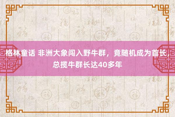 格林童话 非洲大象闯入野牛群，竟随机成为首长，总揽牛群长达40多年