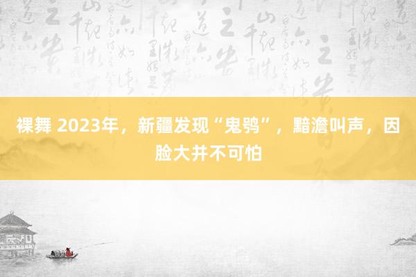 裸舞 2023年，新疆发现“鬼鸮”，黯澹叫声，因脸大并不可怕