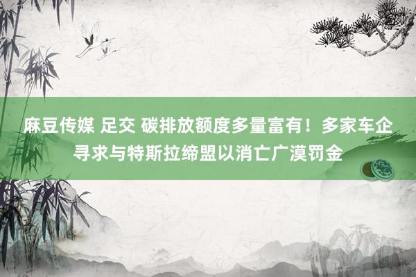 麻豆传媒 足交 碳排放额度多量富有！多家车企寻求与特斯拉缔盟以消亡广漠罚金