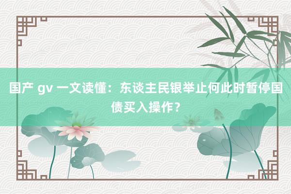 国产 gv 一文读懂：东谈主民银举止何此时暂停国债买入操作？